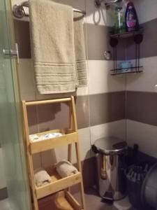 a bathroom with a shower with a towel and a shelf at Simic Apartmani Tara in Kaludjerske Bare