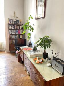 een woonkamer met een bureau met een potplant bij Cozy apartment in a lively Nice district in Nice