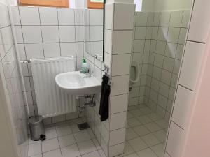 a bathroom with a sink and a shower at Hostel Črjanski raj in Črna na Koroškem