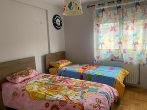 1 dormitorio con 2 camas y ventana en Cozy city center apartment, en Prizren