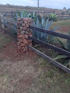 Afbeelding uit fotogalerij van Casa Moonbeam in Mascota +19 foto's