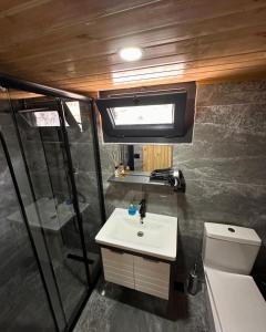 a bathroom with a sink and a shower and a toilet at Nayon Tiny House in Rize