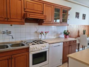 kuchnia z drewnianymi szafkami i białą płytą kuchenną w obiekcie Apartman Neva ,prostrani stan u blizini mora w Puli