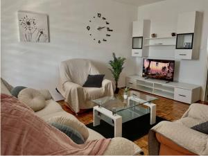 salon z 2 krzesłami i telewizorem w obiekcie Apartman Neva ,prostrani stan u blizini mora w Puli
