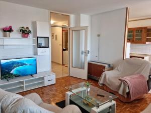 salon z kanapą i telewizorem w obiekcie Apartman Neva ,prostrani stan u blizini mora w Puli