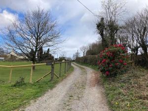a dirt road next to a fence with flowers at Courtyard Cottage - Grade II listed - Barnstaple in Barnstaple