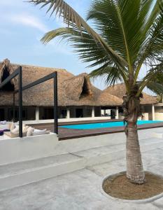 a palm tree in front of a resort at Coco Beach in El Paredón Buena Vista