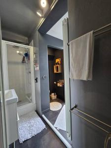 ein Bad mit einer Dusche, einem Waschbecken und einem WC in der Unterkunft Charmant 3 pièces de 41m² in Saint-Mandé