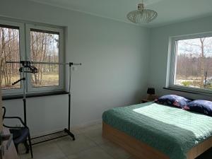 a bedroom with a bed and two windows at Willa w Brzozach Sznurki Spokojna 1 - Chmielno, Kaszuby, dom, jezioro in Chmielno