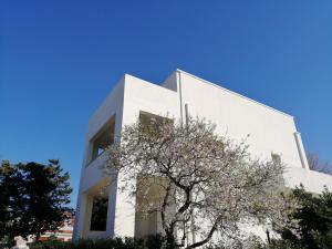 The building in which a vendégházakat is located