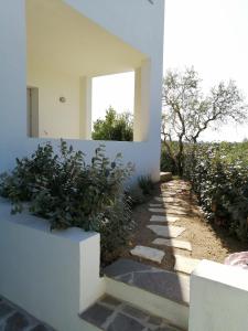 A garden outside Oltre le Dune