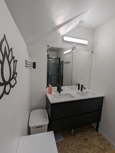 ein Bad mit einem Waschbecken und einem Spiegel in der Unterkunft Grande maison avec extérieur, jacuzzi et billard in Vierzon