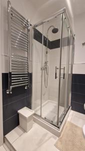 a shower stall in a bathroom with a toilet at LG colosseum Rome apartment in Rome
