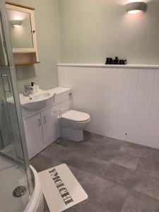 a bathroom with a toilet and a sink at Bryndegwel in Saint Dogmaels, cardigan- river views, Free parking in Cardigan +13 photos