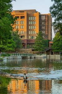 a duck in the water in front of a building at Hotel Emma at Pearl on the Riverwalk in San Antonio