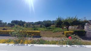 un jardín con flores al lado de una carretera en Mondalva Apartamentos, en São Pedro de Alva