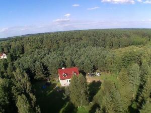 een luchtzicht op een huis midden in een bos bij Dom w lesie in Łukta