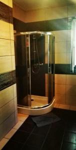 een douche met een glazen deur in de badkamer bij Dom w lesie in Łukta
