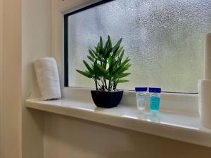 Fotografie z fotogalerie ubytování Stylish Cosy 2 Bed Ilford Home with Free Parking v destinaci Ilford