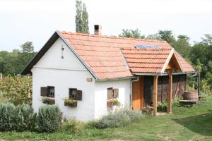 Budova, kde se the country house nachází