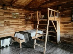 a wooden cabin with a bunk bed and a ladder at Estancia Bonanza in El Chalten