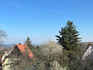 um grupo de casas e árvores numa colina em Ferienwohnung Dresden em Dresden