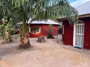 een rood huis met een palmboom ervoor bij Abené shuDyma lodge in Abémé