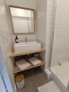 een badkamer met een wastafel, een spiegel en een douche bij Cosylocation - Vue Théâtre Antique/Jardin de Cybèle in Vienne