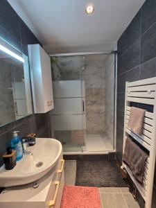 y baño con ducha y lavabo blanco. en Charming Comfy Apartment in Amiens, en Amiens