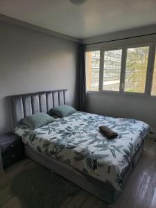 1 dormitorio con cama y ventana en Charming Comfy Apartment in Amiens, en Amiens