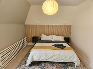 a bedroom with a bed and a chandelier at Ottawa Downtown Cozy Guesthouse in Ottawa