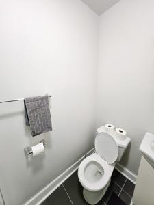 a bathroom with a toilet and two rolls of toilet paper at Ottawa Downtown Cozy Guesthouse in Ottawa