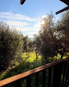 a view of a field from a wooden deck at Sunrise Village Cilento in Pisciotta