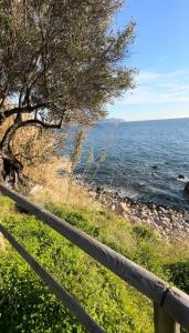 a fence next to a body of water at Sunrise Village Cilento in Pisciotta