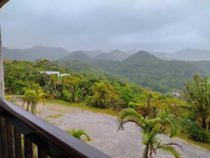 a balcony with a view of mountains and palm trees at 美ら海　みるきぃうえぃ in Motobu +6 photos