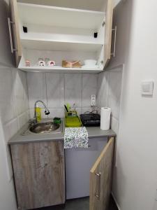 una pequeña cocina con fregadero y encimera en Vikendica Aki, en Zajecar