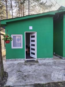 un edificio verde con una puerta y una escalera en Vikendica Aki, en Zajecar