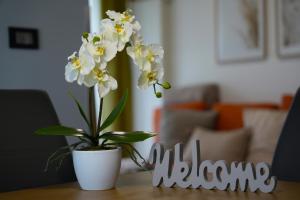 Fotografie z fotogalerie ubytování Apartma Pikabooth v destinaci Topolšica