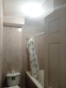 ein Bad mit einem WC und einem Duschvorhang in der Unterkunft Estudio Comodo y Tranquilo in Mexicali