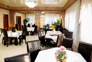 Restaurace v ubytování Pensiunea Viitorul