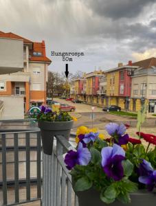 a balcony with flowers in a pot on a fence at Happy Seasons Szoboszló in Hajdúszoboszló