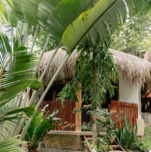 une maison au toit de chaume dans un jardin dans l'établissement Aurea Bacalar, à Bacalar 131 autres photos