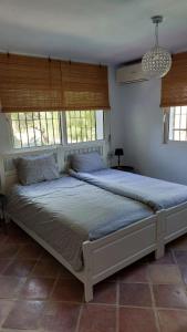 ein großes Bett in einem Schlafzimmer mit zwei Fenstern in der Unterkunft El bufon de la corte in Carratraca