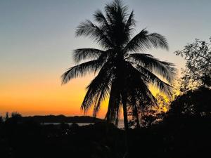 een palmboom met de zonsondergang op de achtergrond bij Hotel Sol y Mar in Santa Catalina