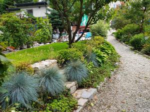 un jardin avec des plantes herbeuses et un arbre dans l'établissement Dwie Chatki domek, à Sandomierz