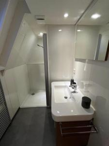 La salle de bains blanche est pourvue d'un lavabo et d'une douche. dans l'établissement De Lodge, à Durbuy