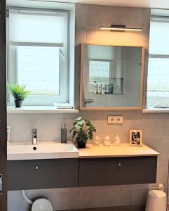 La salle de bains est pourvue d'un lavabo et d'un miroir. dans l'établissement Miegu - Apartments, à Druskininkai