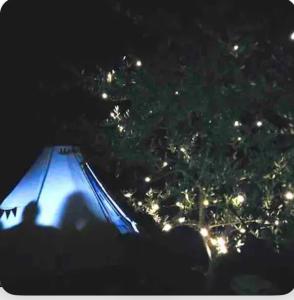 un groupe de personnes qui regardent un arbre la nuit dans l'établissement Tipi sous les étoiles service petit déjeuner et dîner, à Lucéram