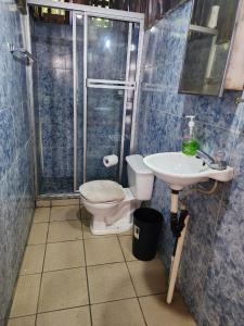 a bathroom with a toilet and a shower and a sink at Residencial El Cielo Cabaña Popeye y Cabaña Pipil in Los Naranjos
