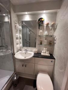 a bathroom with a toilet and a sink and a shower at CockleDora, A Luxury Ground Floor Beachfront Apartment in Llanelli